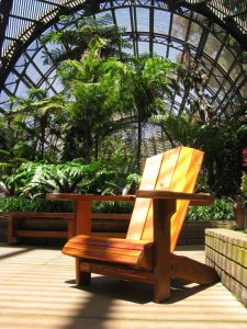 Inside the Botanical Garden